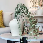The Smart Concierge - Seven Palm